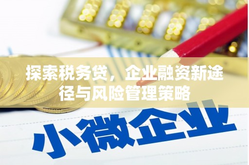 七里河探索税务贷，企业融资新途径与风险管理策略