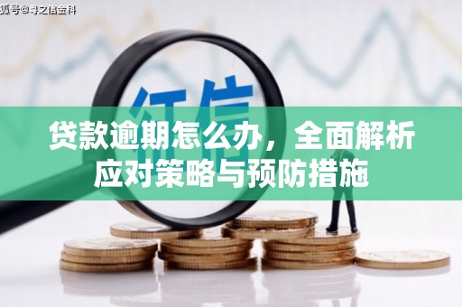 七里河贷款逾期怎么办，全面解析应对策略与预防措施