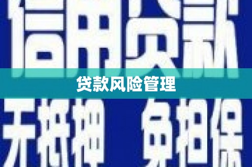 七里河贷款风险管理