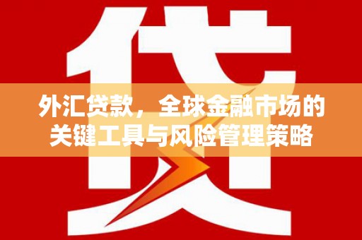 七里河外汇贷款，全球金融市场的关键工具与风险管理策略