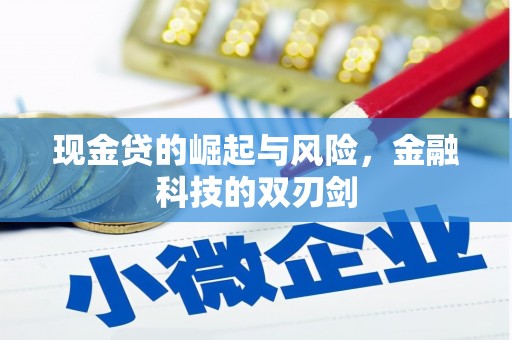 七里河现金贷的崛起与风险，金融科技的双刃剑
