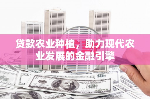 七里河贷款农业种植，助力现代农业发展的金融引擎