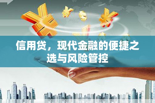 七里河信用贷，现代金融的便捷之选与风险管控