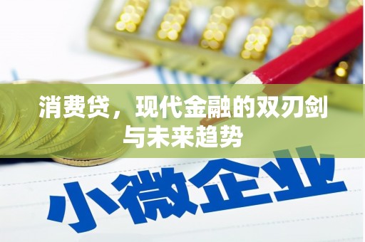 七里河消费贷，现代金融的双刃剑与未来趋势