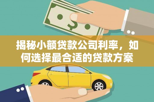 七里河揭秘小额贷款公司利率，如何选择最合适的贷款方案