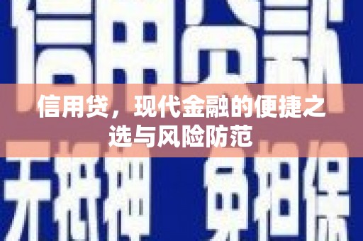 七里河信用贷，现代金融的便捷之选与风险防范