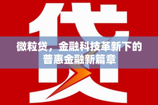 七里河微粒贷，金融科技革新下的普惠金融新篇章