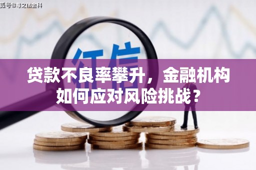 七里河贷款不良率攀升，金融机构如何应对风险挑战？
