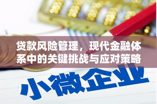 七里河贷款风险管理，现代金融体系中的关键挑战与应对策略