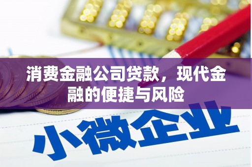 七里河消费金融公司贷款，现代金融的便捷与风险