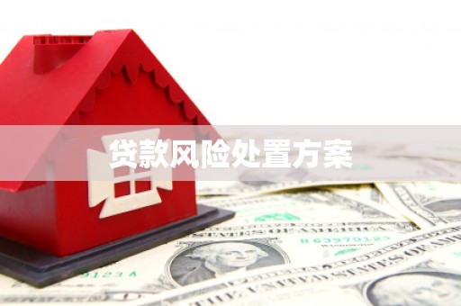 七里河贷款风险处置方案