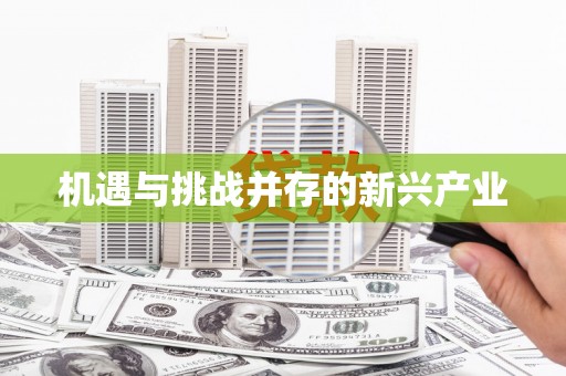 七里河机遇与挑战并存的新兴产业