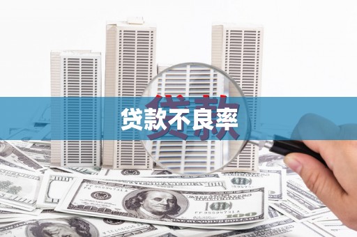 七里河贷款不良率