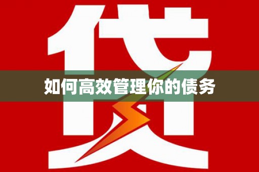 七里河如何高效管理你的债务