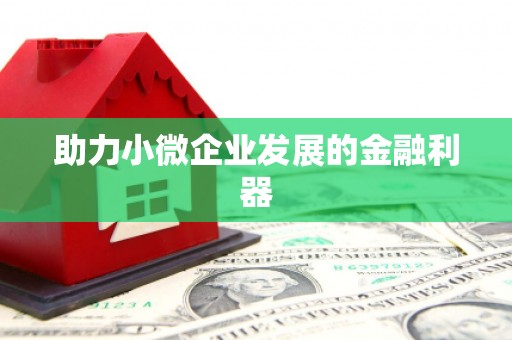 七里河助力小微企业发展的金融利器