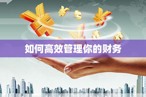 七里河如何高效管理你的财务