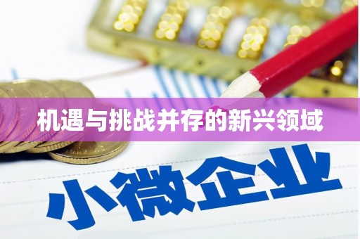 七里河机遇与挑战并存的新兴领域
