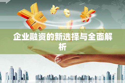 七里河企业融资的新选择与全面解析