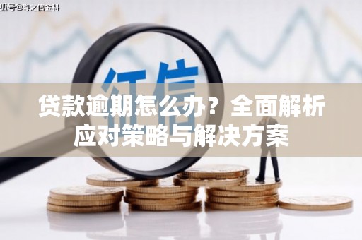 七里河贷款逾期怎么办？全面解析应对策略与解决方案