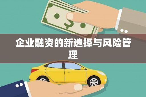 七里河企业融资的新选择与风险管理