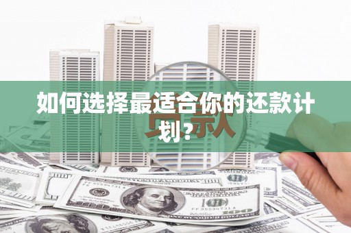 七里河如何选择最适合你的还款计划？
