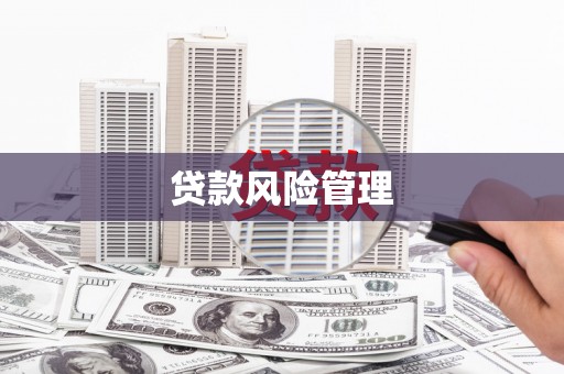 七里河贷款风险管理