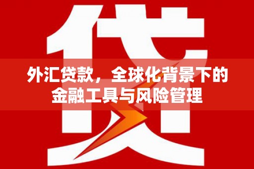 七里河外汇贷款，全球化背景下的金融工具与风险管理